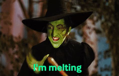 The perfect Ace Im Melting Wizard Of Oz Animated GIF for your conversation. . Im melting gif